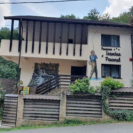 Pensiunea Iasmina Si Pescarul Călimăneşti Εξωτερικό φωτογραφία